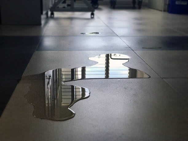 Best 24-hour water damage restoration  in Auburn, AL