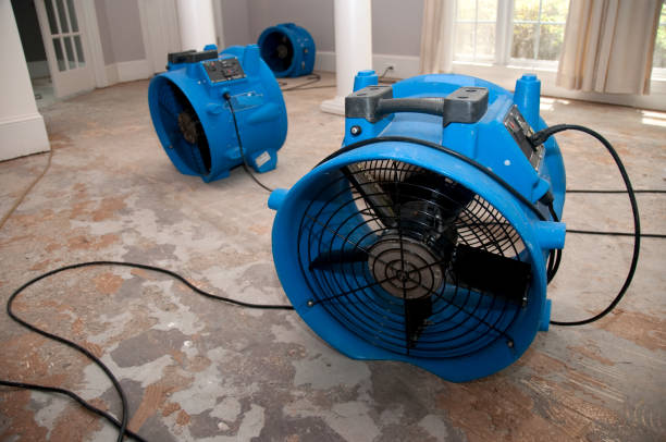 Best Local water damage restoration  in Auburn, AL
